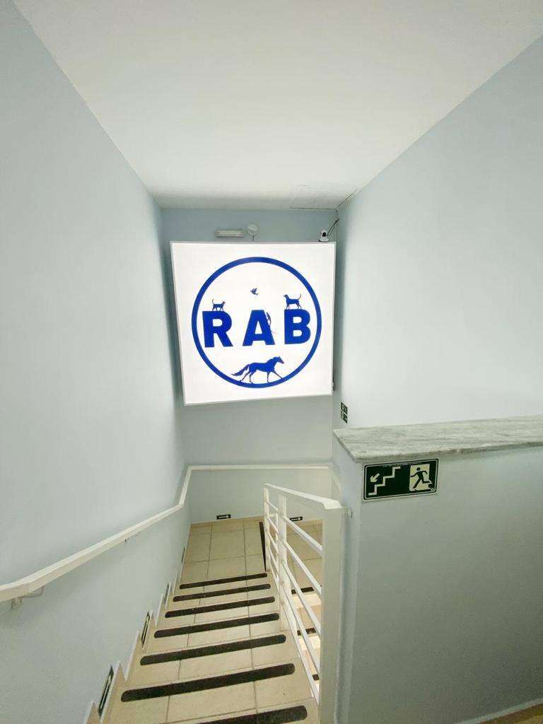 rab-vet-clinica-veterinaria