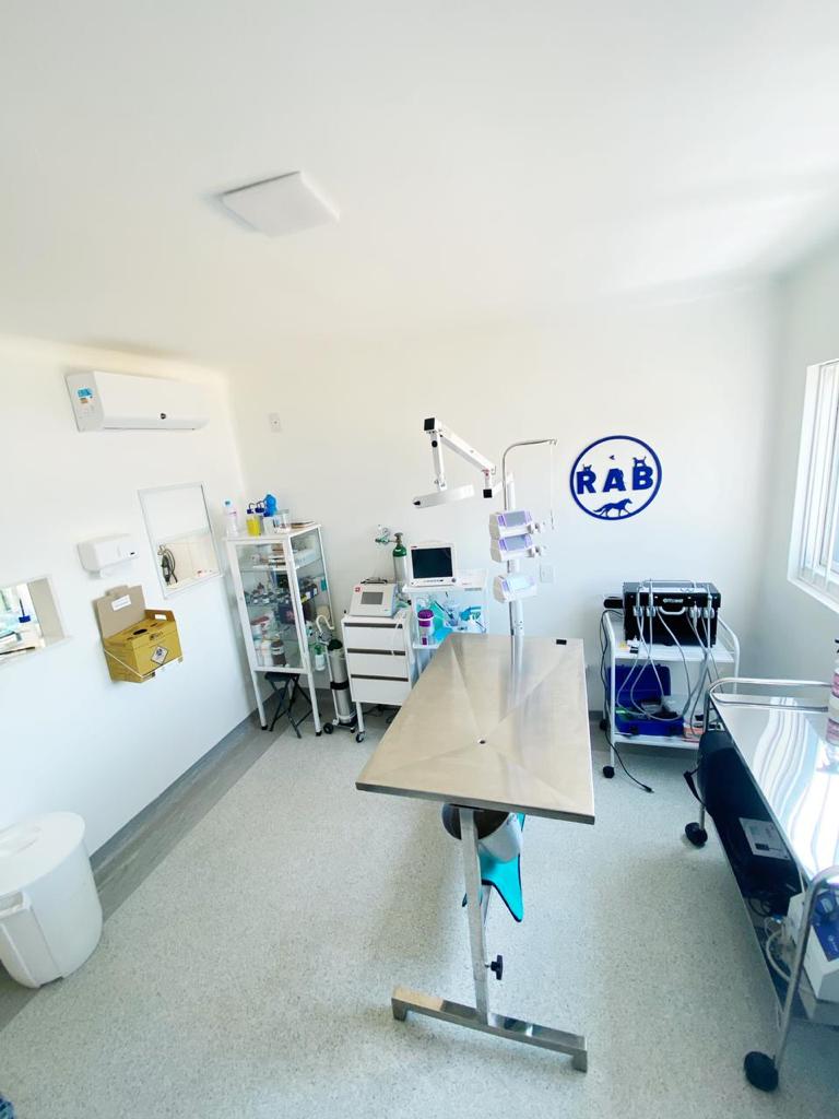 rab-vet-clinica-veterinarios