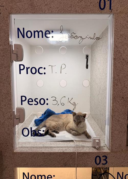 clica-veterinaria-campinas-rab-vet (11)