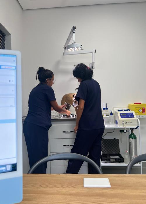 clica-veterinaria-campinas-rab-vet (40)