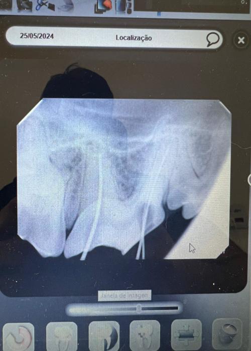 clica-veterinaria-campinas-rab-vet (42)